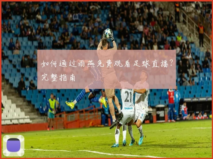 如何通过雨燕免费观看足球直播？完整指南