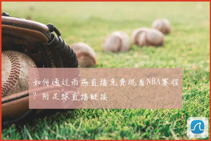 如何通过雨燕直播免费观看NBA赛程？附足球直播链接